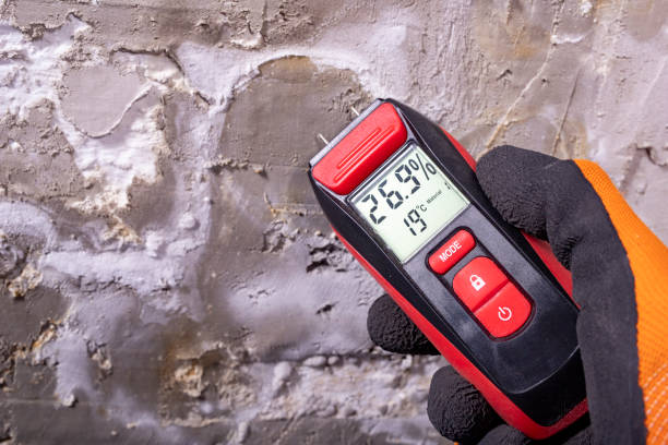 Certified Mold Removal in Great Neck Estates, NY