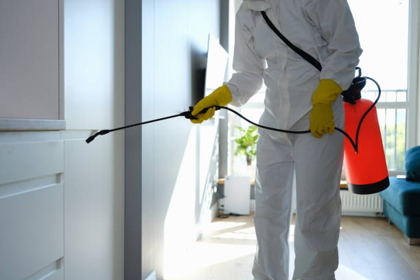 Best Attic Mold Removal  in Great Neck Estates, NY